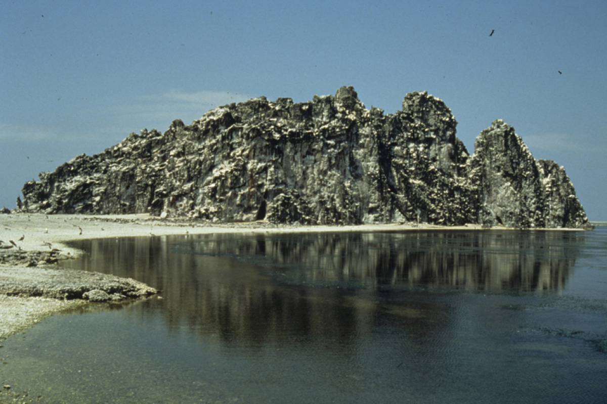 Die einzige Erhebung auf Clipperton: The Rock