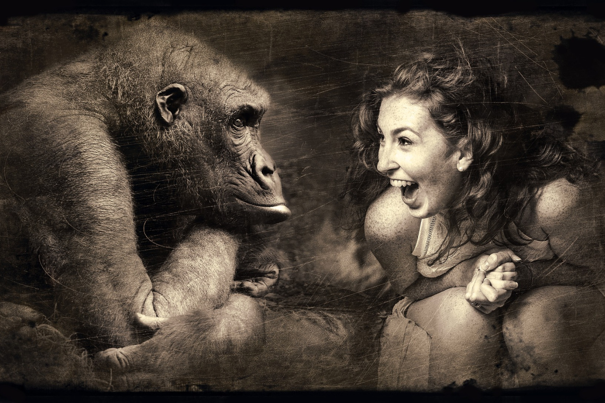 Affe und Mensch