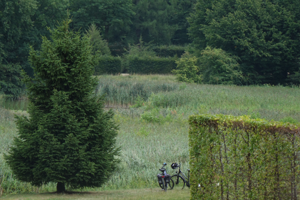 Gartenanlage - mit Heckentheater