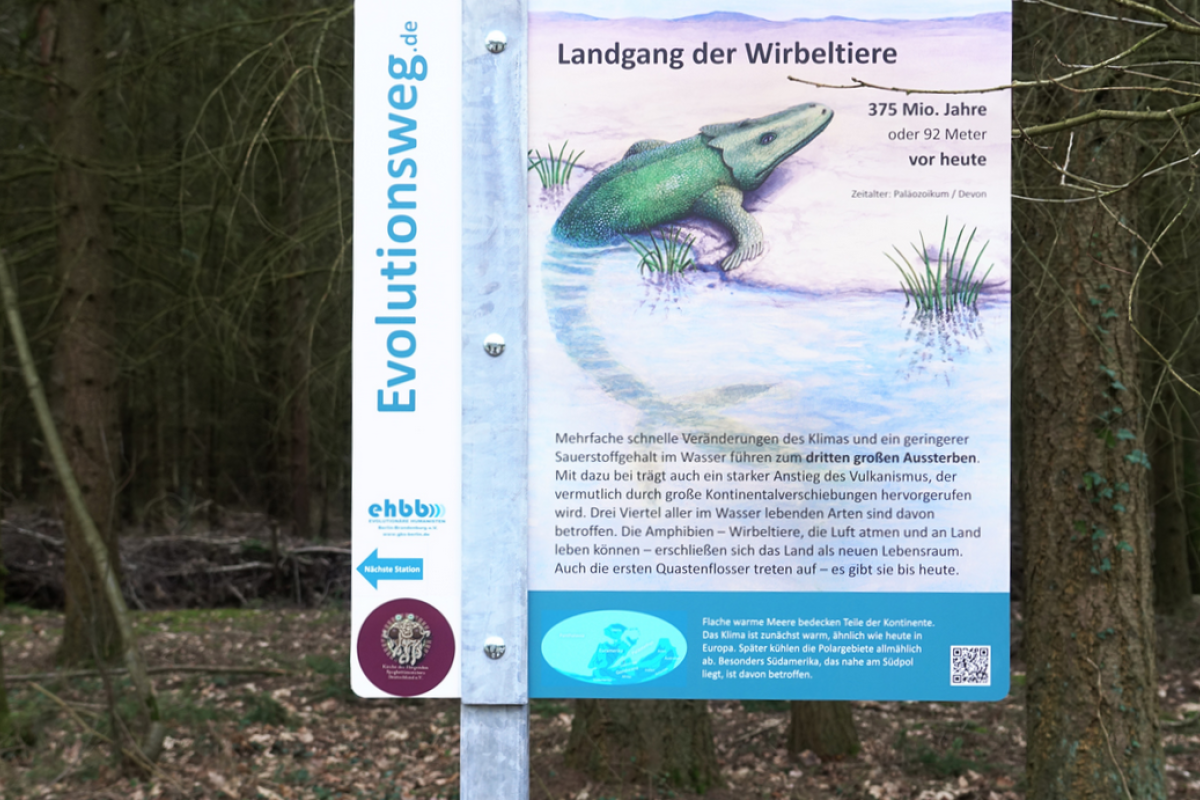 Evolutionsweg-Schild zu Wirbeltieren