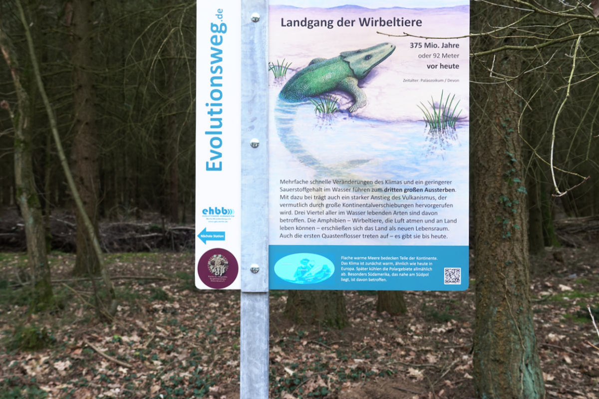 Evolutionsweg-Schild zu Wirbeltieren