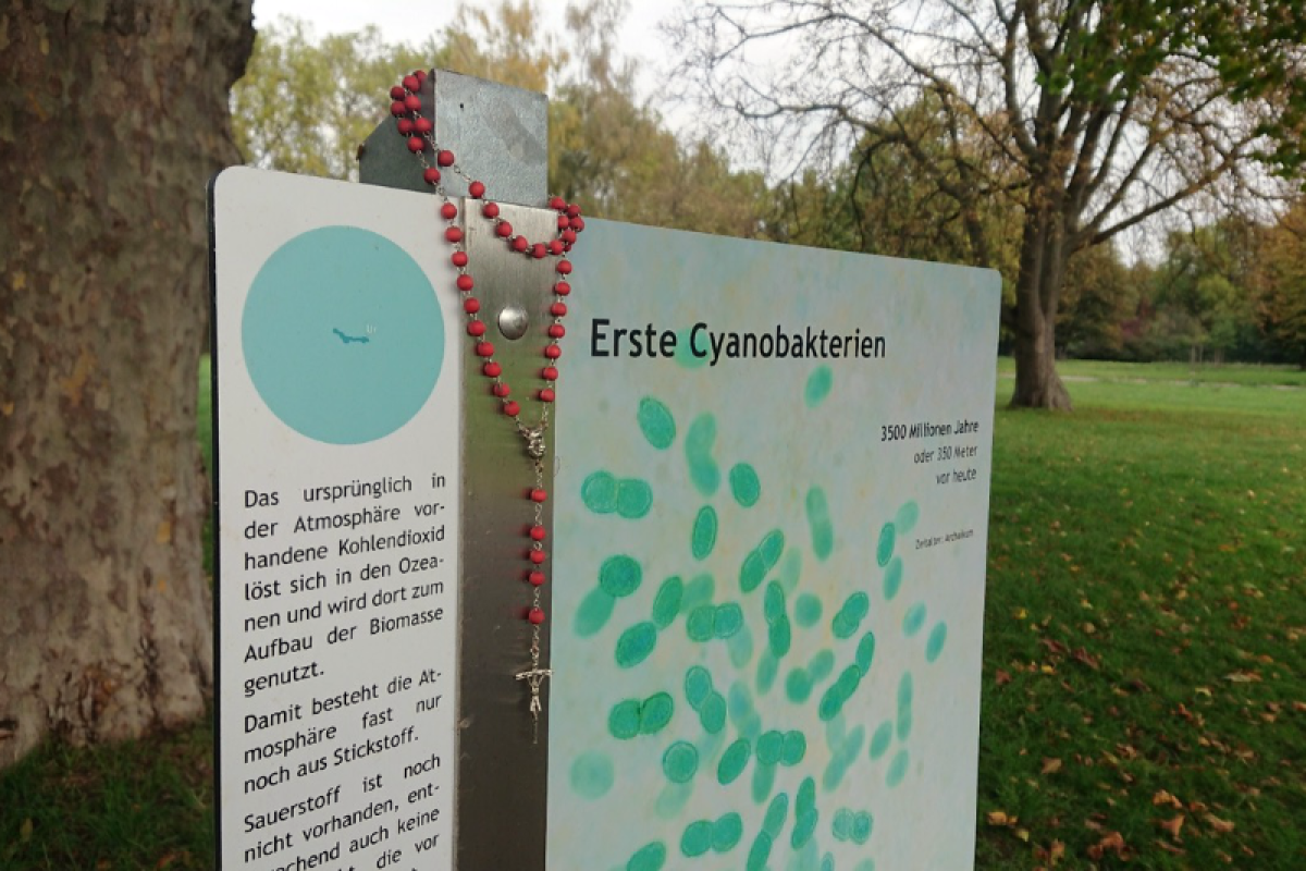 Der Evolutionsweg in Düsseldorf wurde von Unbekannten gesegnet.