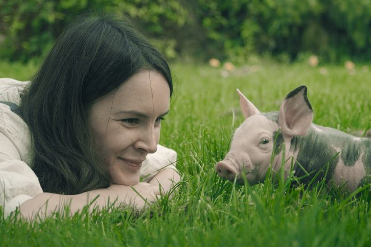 Filmszene aus "Los Veganeros"