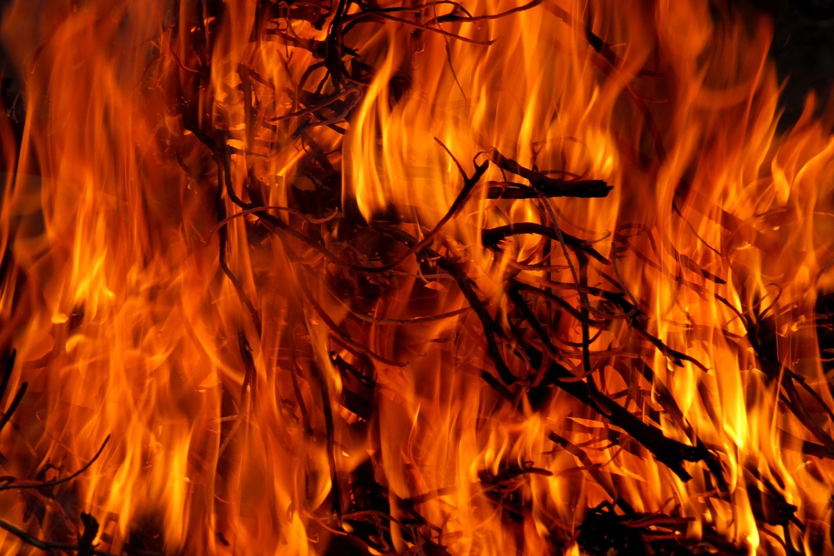 Feuer