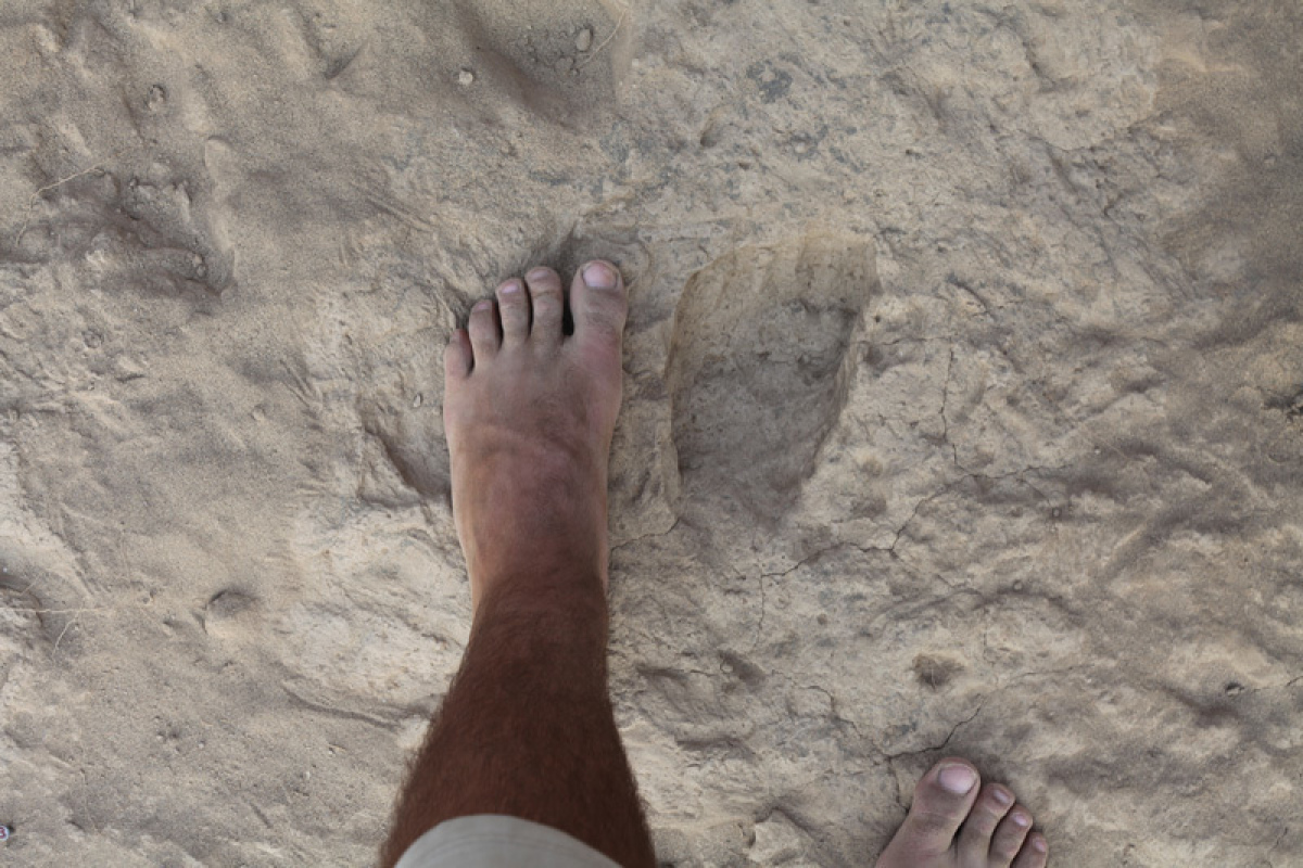 Der fossile Fußabdruck ist von dem einen modernen Menschen kaum zu unterscheiden.
