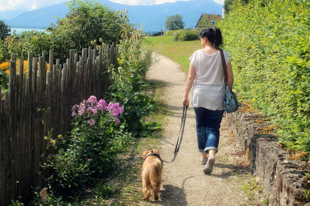 Eine Frau führt ihren Hund aus