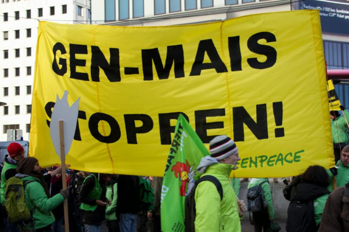 Auf der "Wir haben es satt"-Demo am 18.01.2014 in Berlin