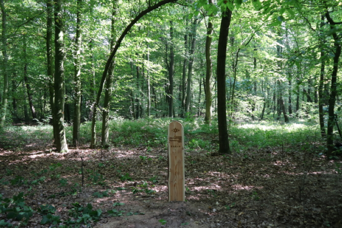 Die hölzerne Matzewa im Wald von Karmanowice.