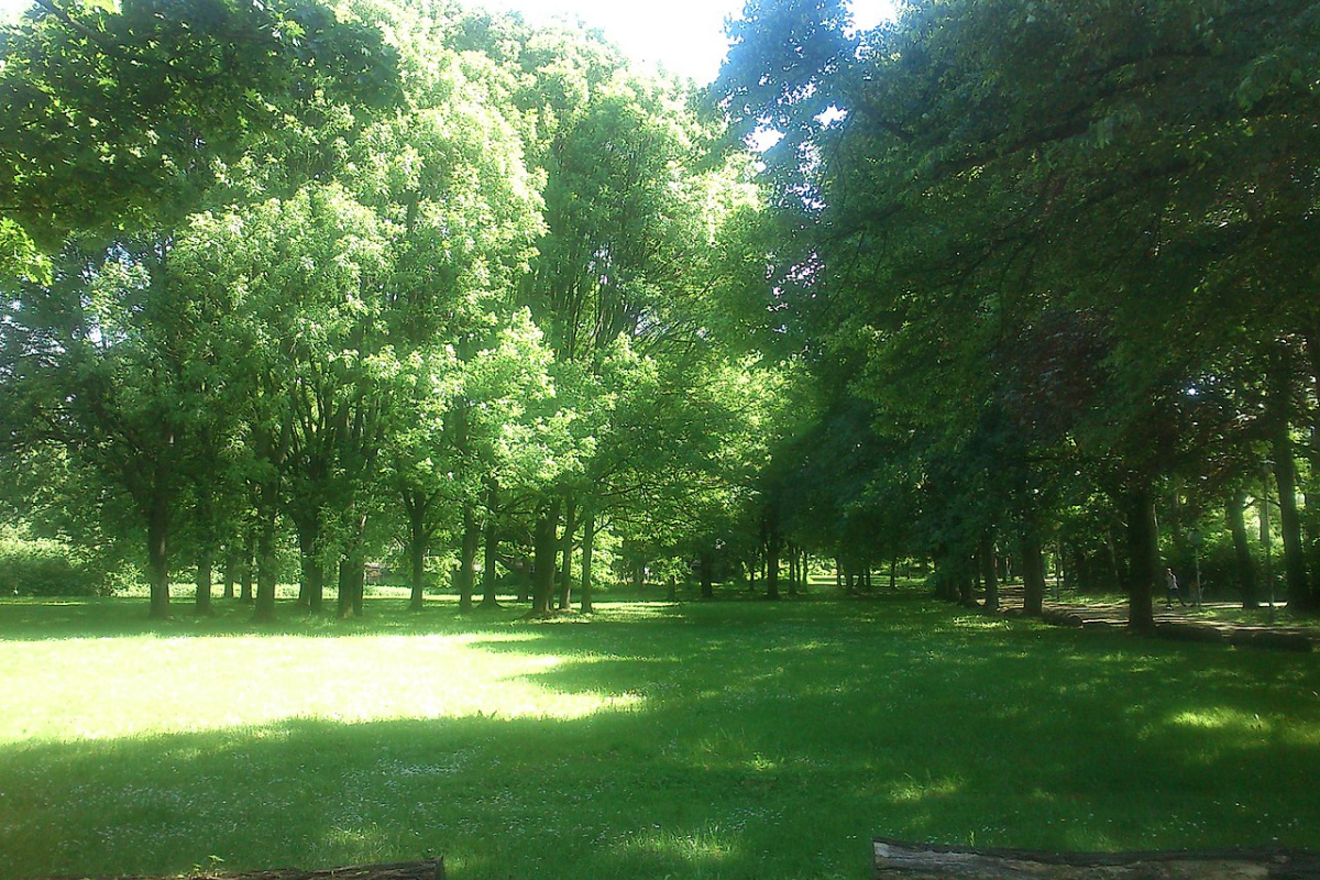 Park am Dortmunder Naturmuseum