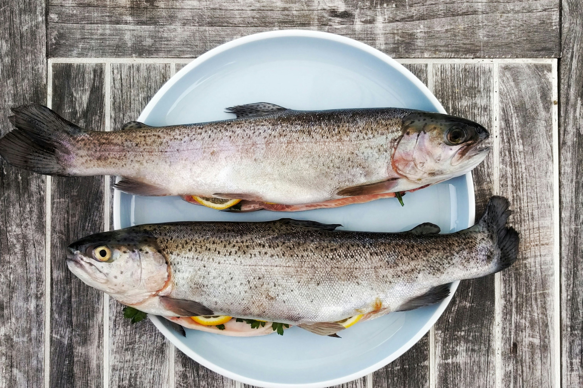 Fisch – eine traditionelle christliche Fastenspeise