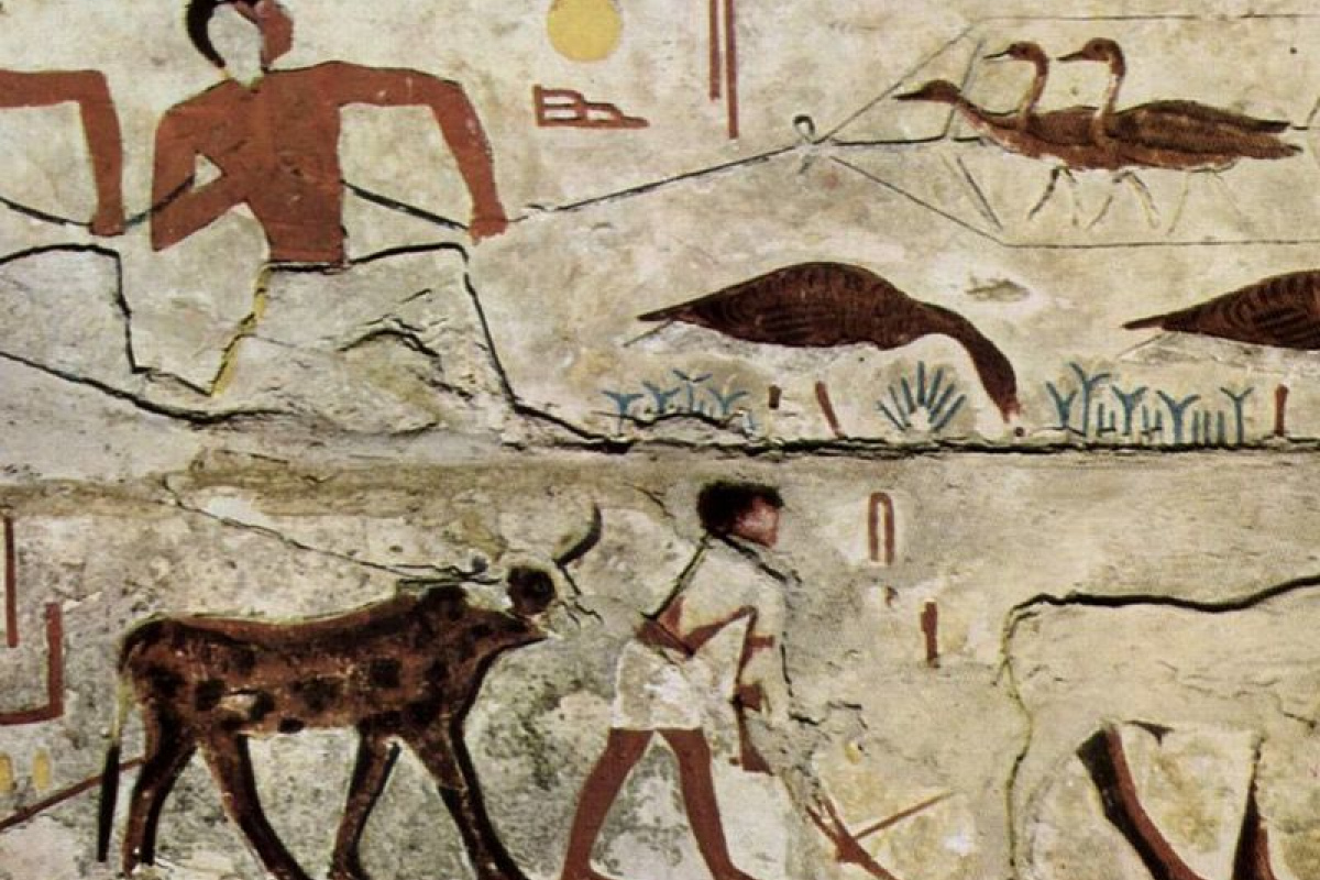 Relief in der Grabkammer des Nefermaat