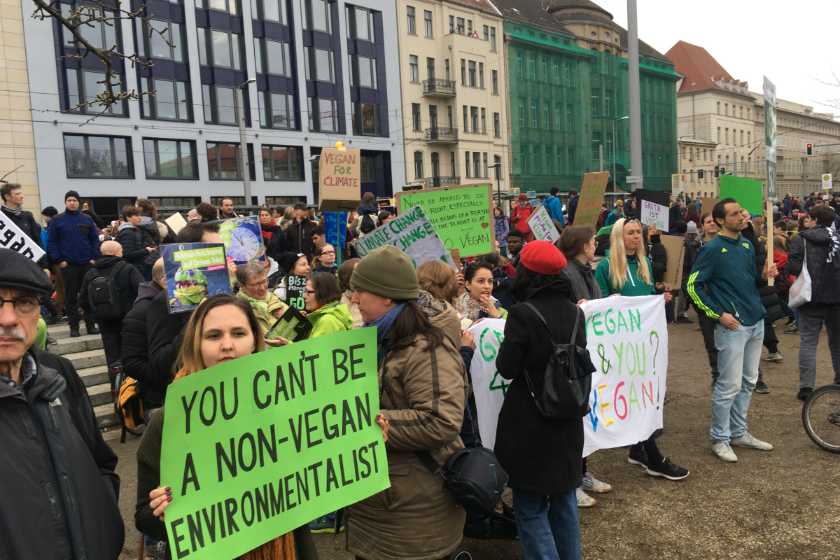 Schülerprotest gegen die Untätigkeit angesichts des Klimawandels