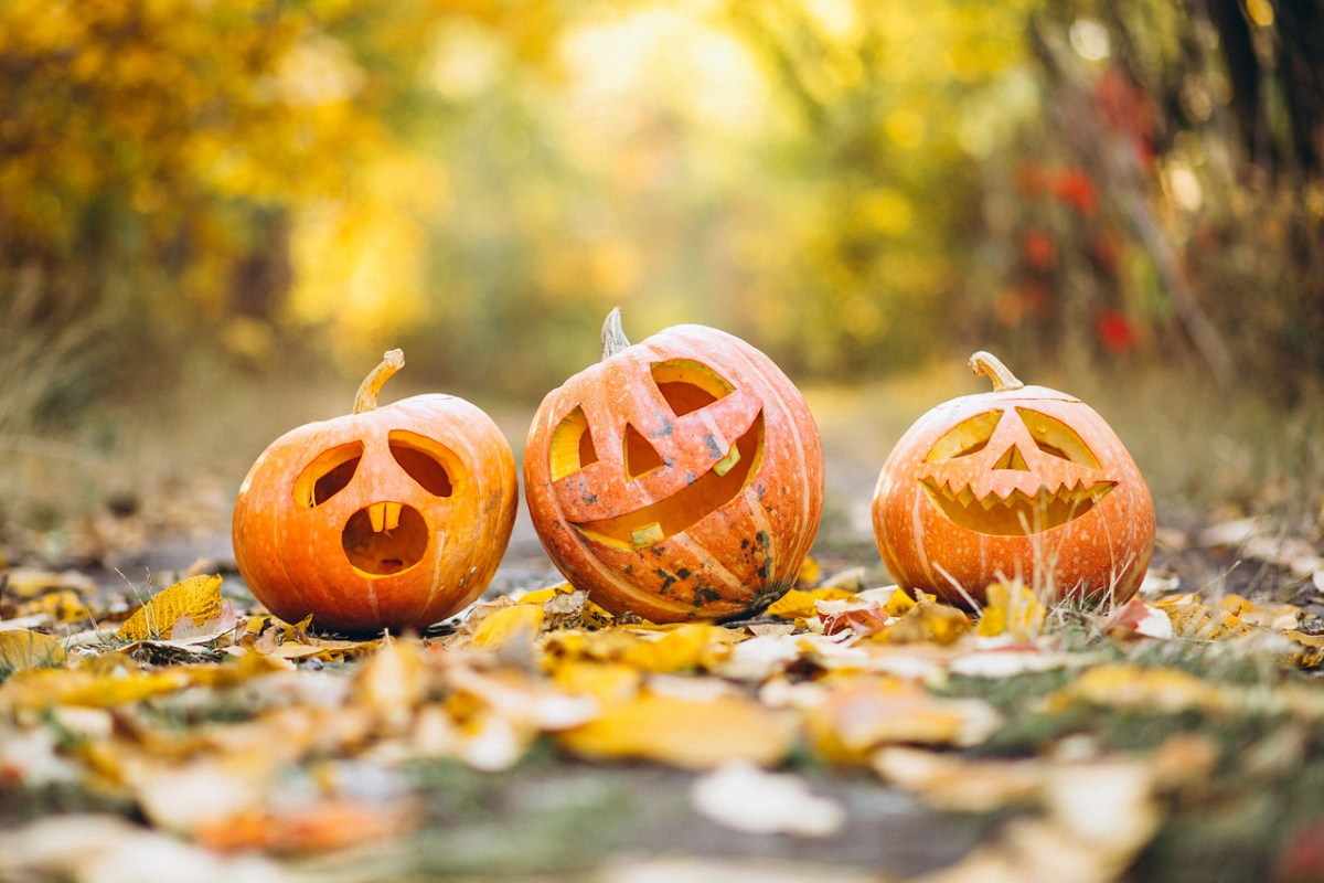 geschnitzte Halloween-Kürbisse