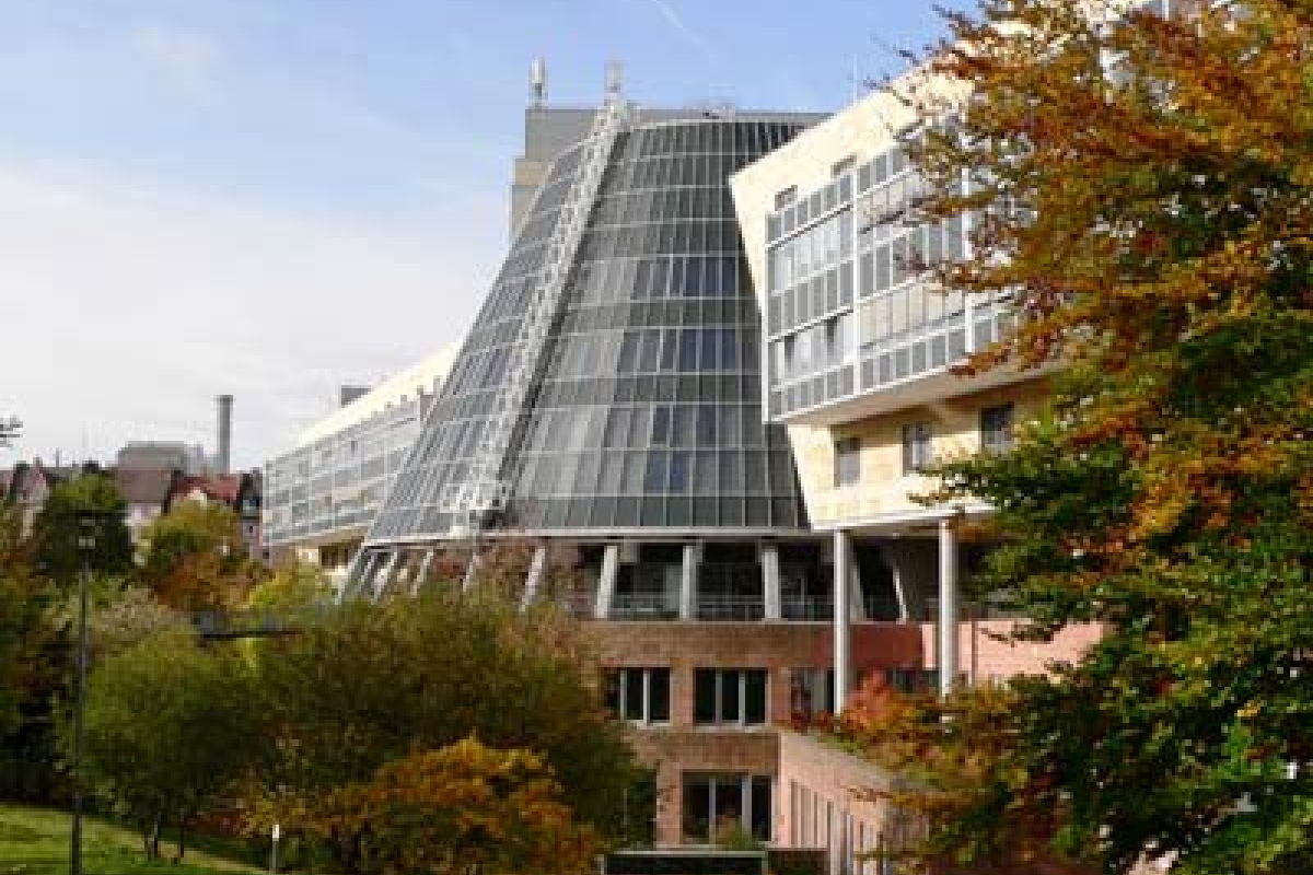 Arbeitsgericht Frankfurt/M. 