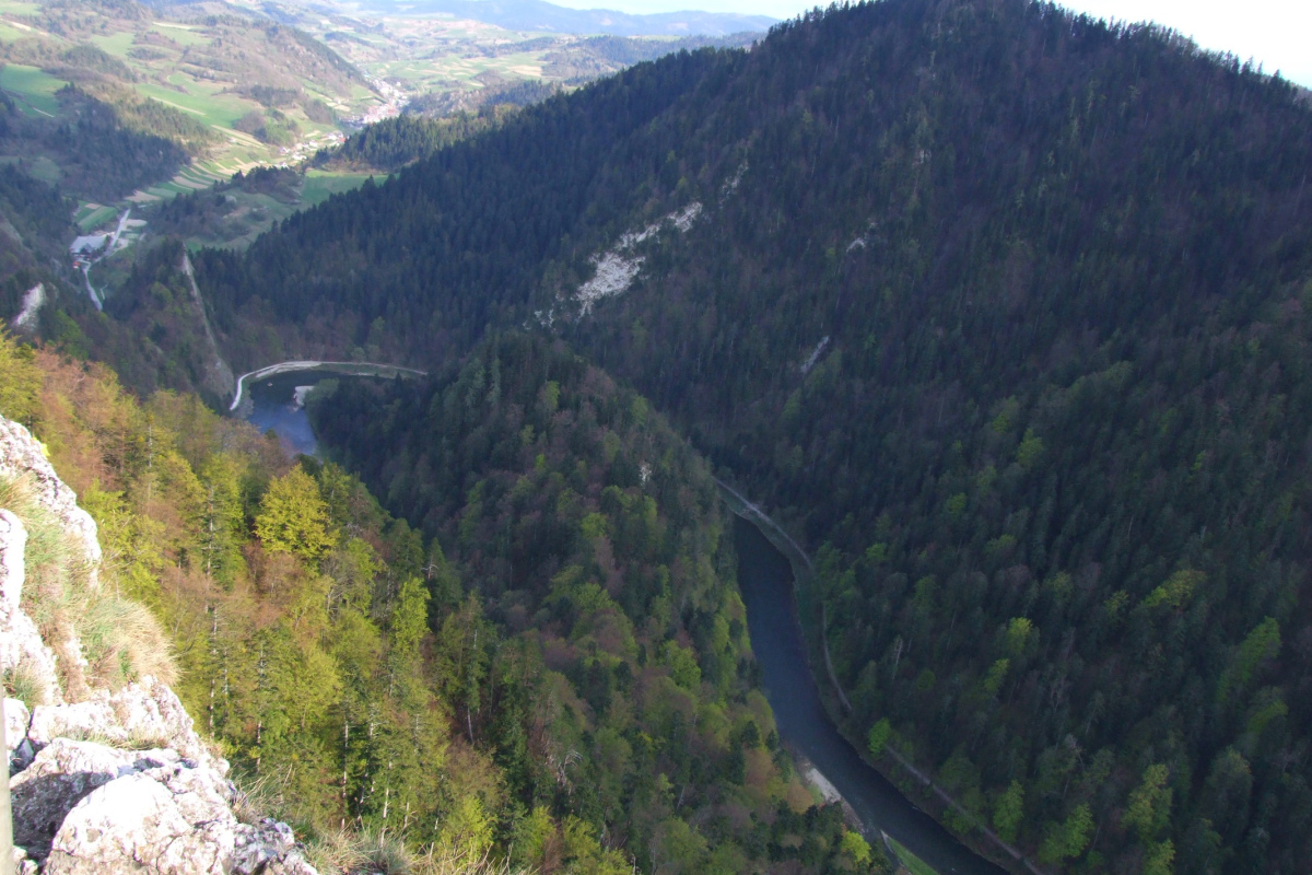 Der Dunajec in der Nähe der Stadt Krościenko in Süd-Ost-Polen.