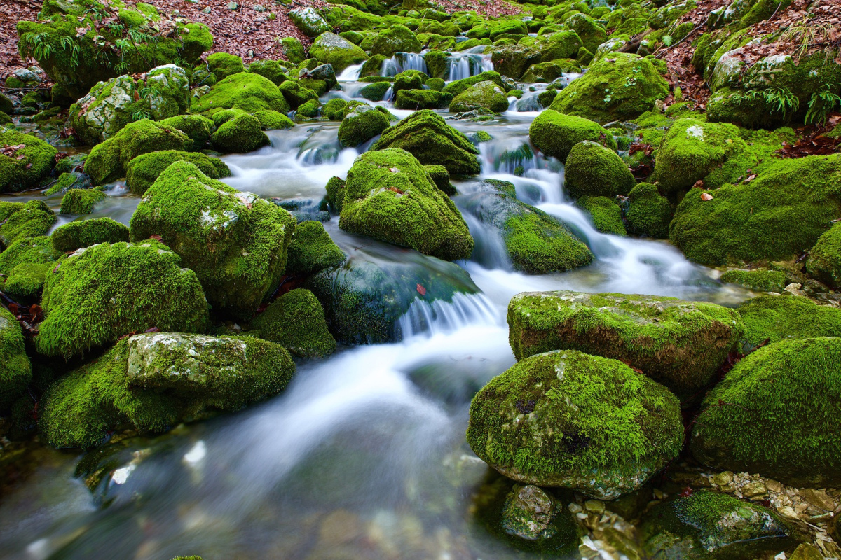 Quellwasser kann kontaminiert sein