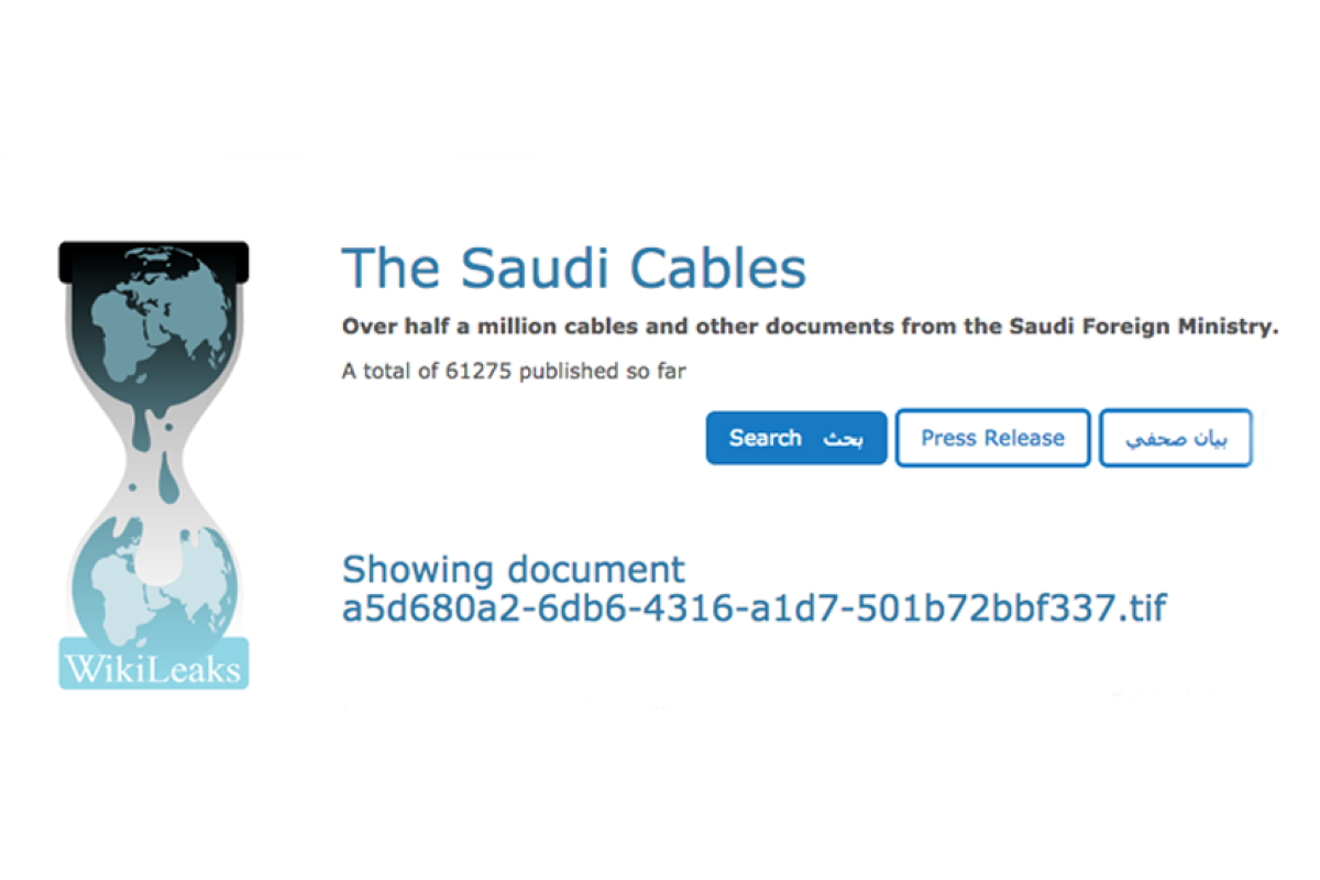 Screenshot Wikileaks