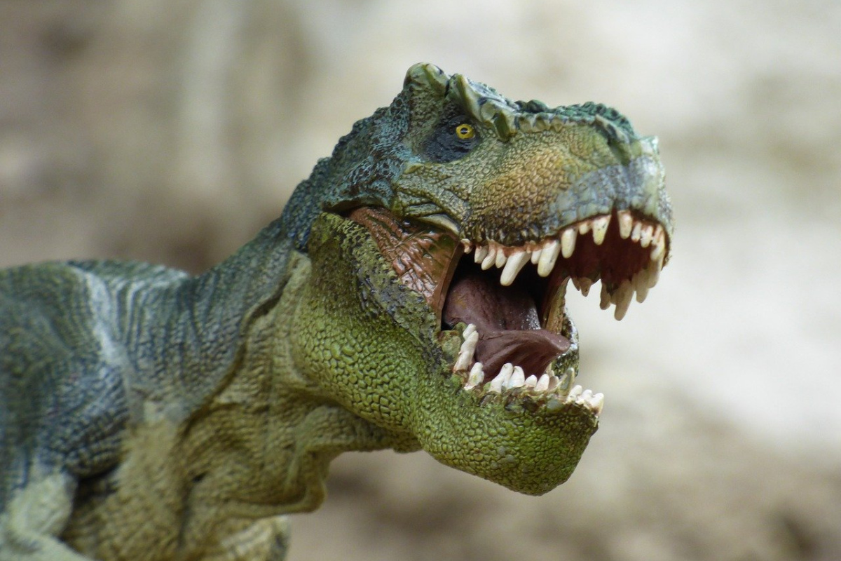 Tyrannosaurus rex