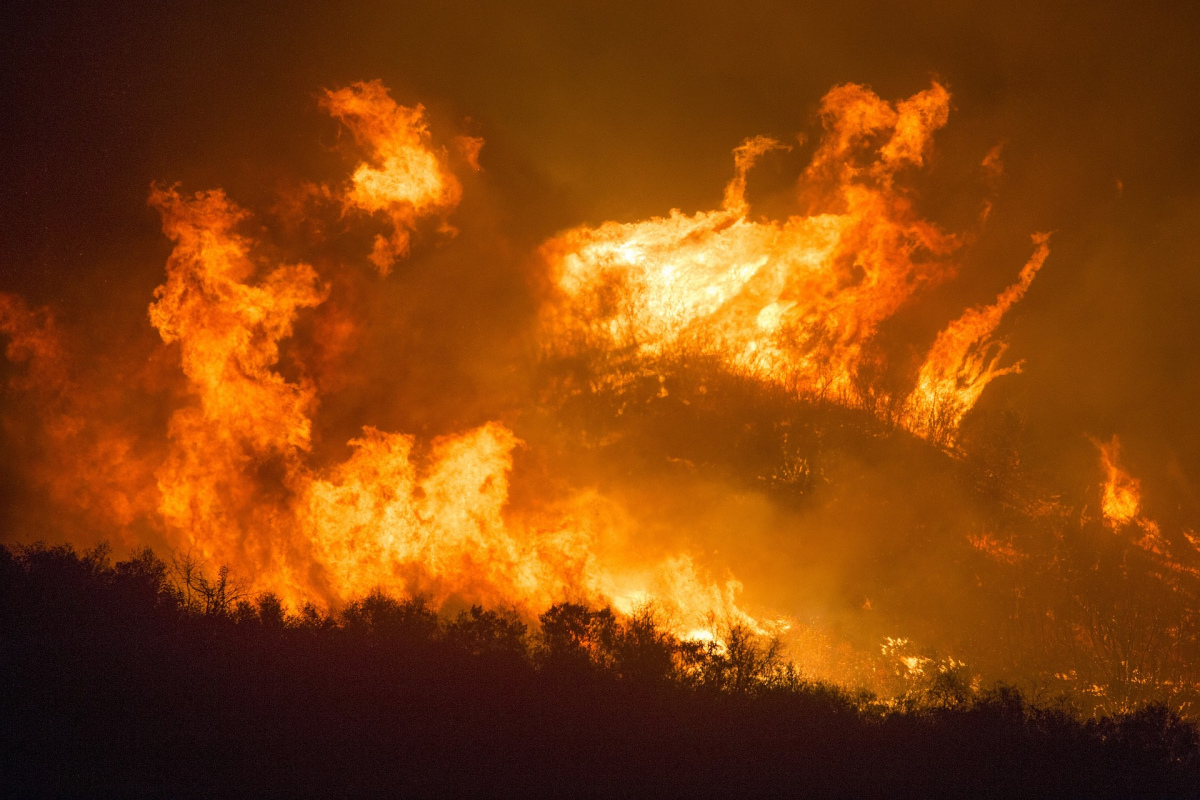 Waldbrand (Symbolbild)