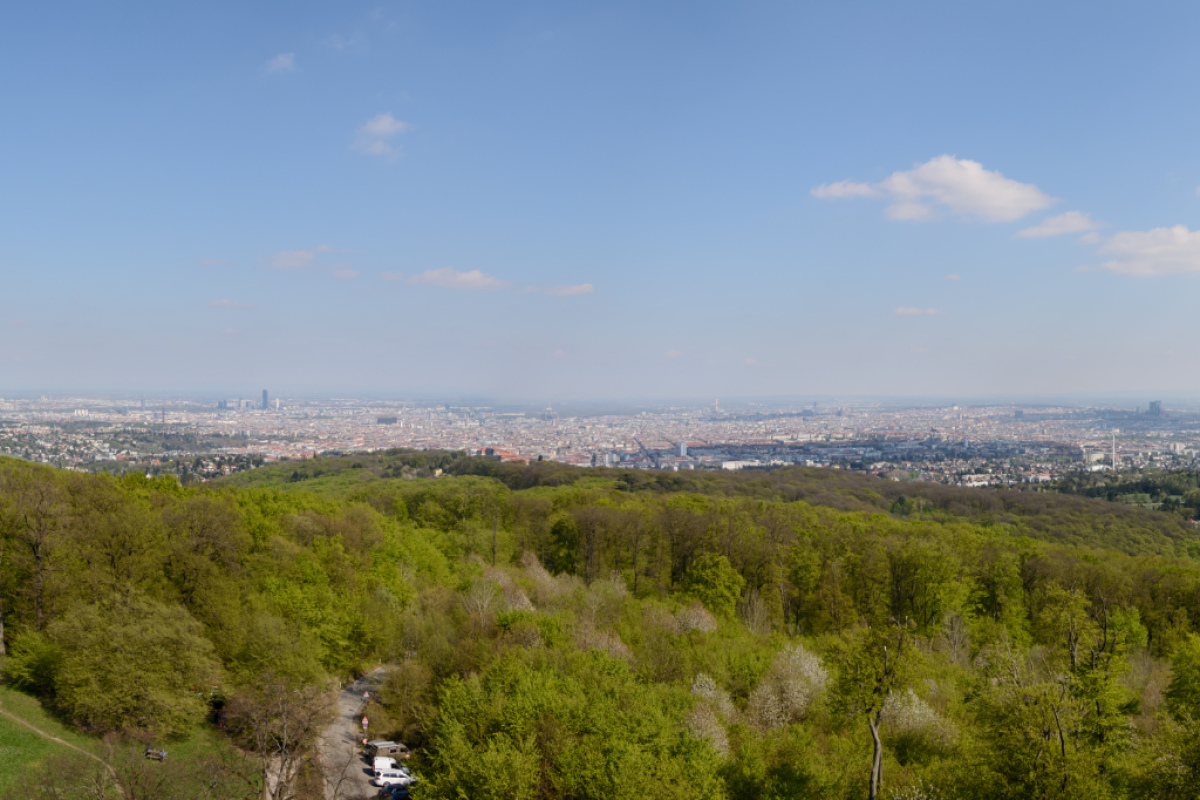 Blick über Wien