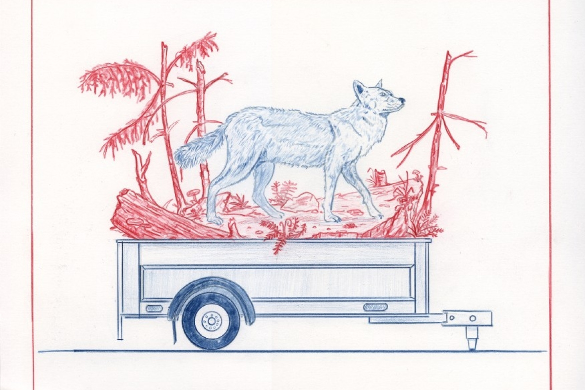 Wolfs Mobil Wildnis 2006