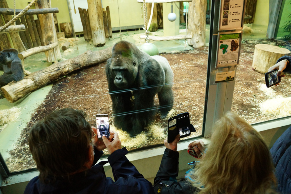 Im Zoo Berlin