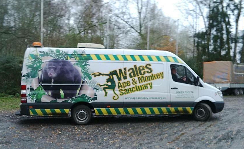 Transport-Van des Wales Ape & Monkey Sanctuary (Photo: WAMS)