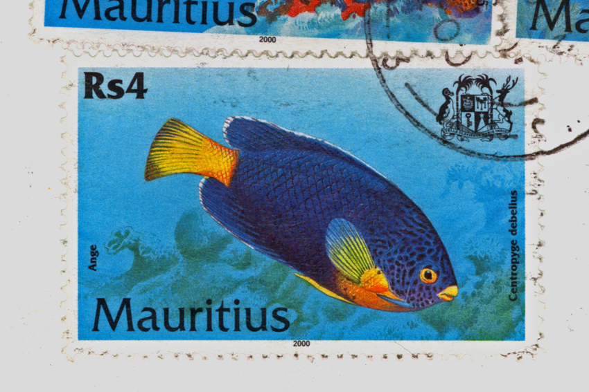 Wer kennt nicht DIE BLAUE MAURITIUS, hier DER blaue Mauritius als Briefmarke, Foto: © Archiv Debelius